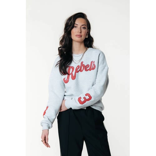 Colourful Rebel sweater grijs afbeelding