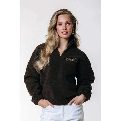 Colourful Rebel teddy sweater bruin afbeelding