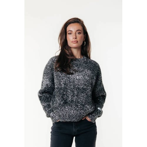 Colourful Rebel sweater zilver afbeelding