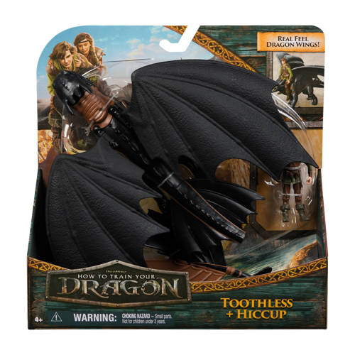 How To Train Your Dragon - Dragon and Viking Toothless & Hiccup afbeelding