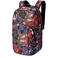 Dakine rugzak Campus L 33L zwart/multi