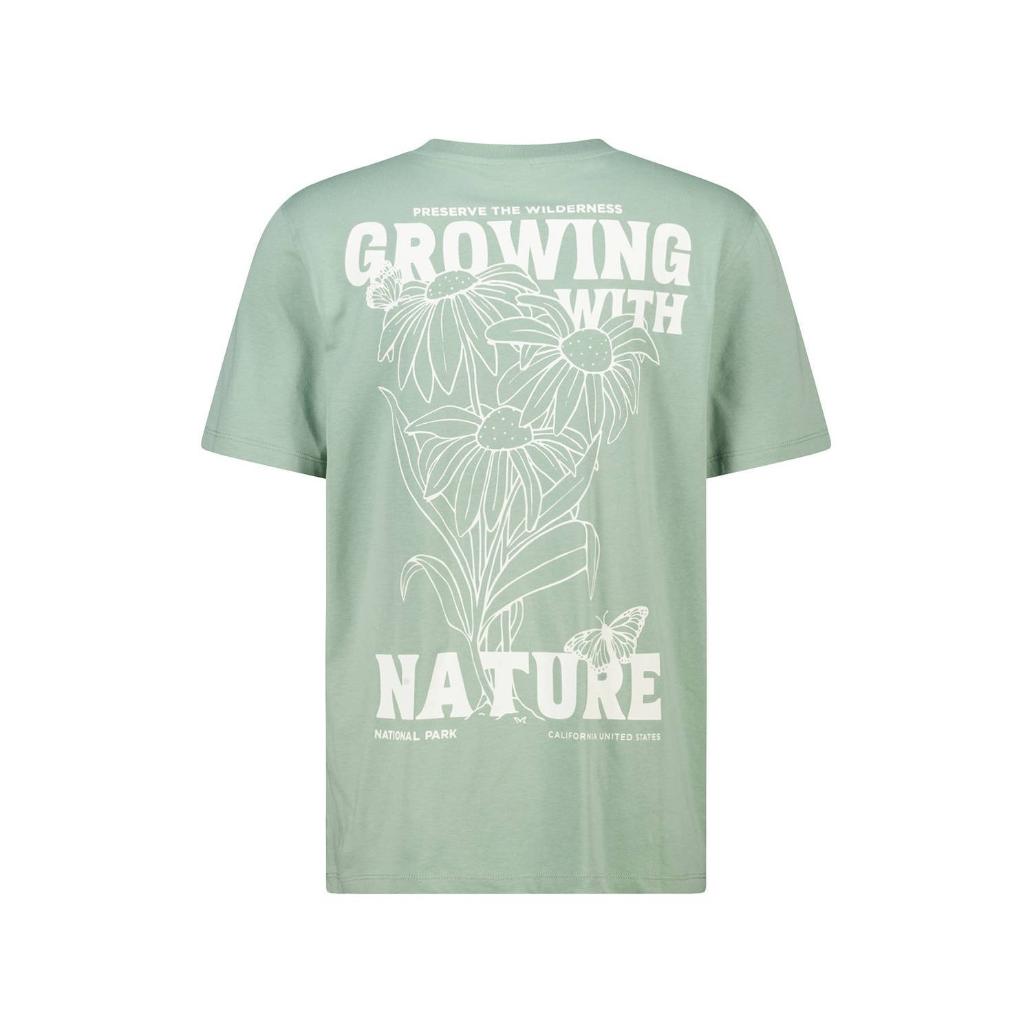 America Today regular T-shirt lichtgroen