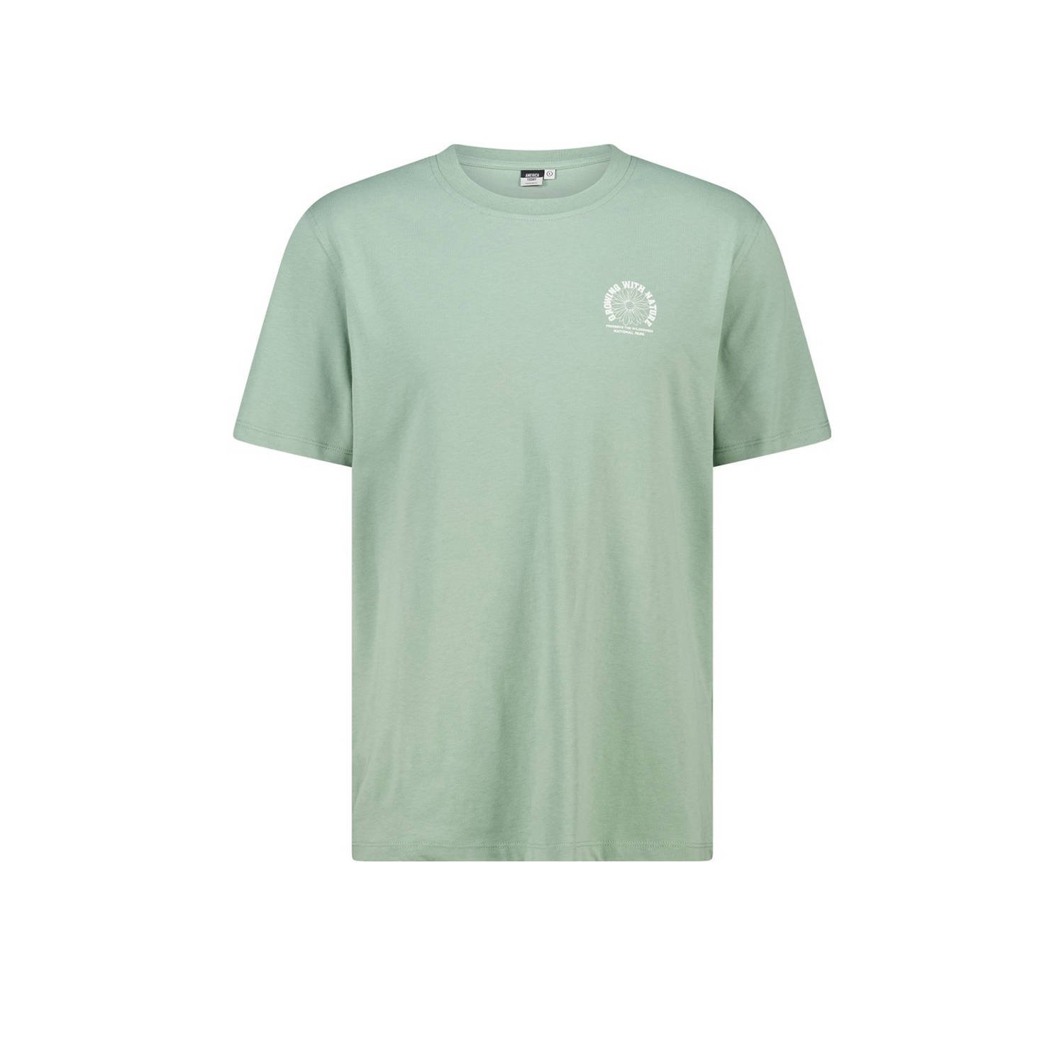 America Today regular T-shirt lichtgroen
