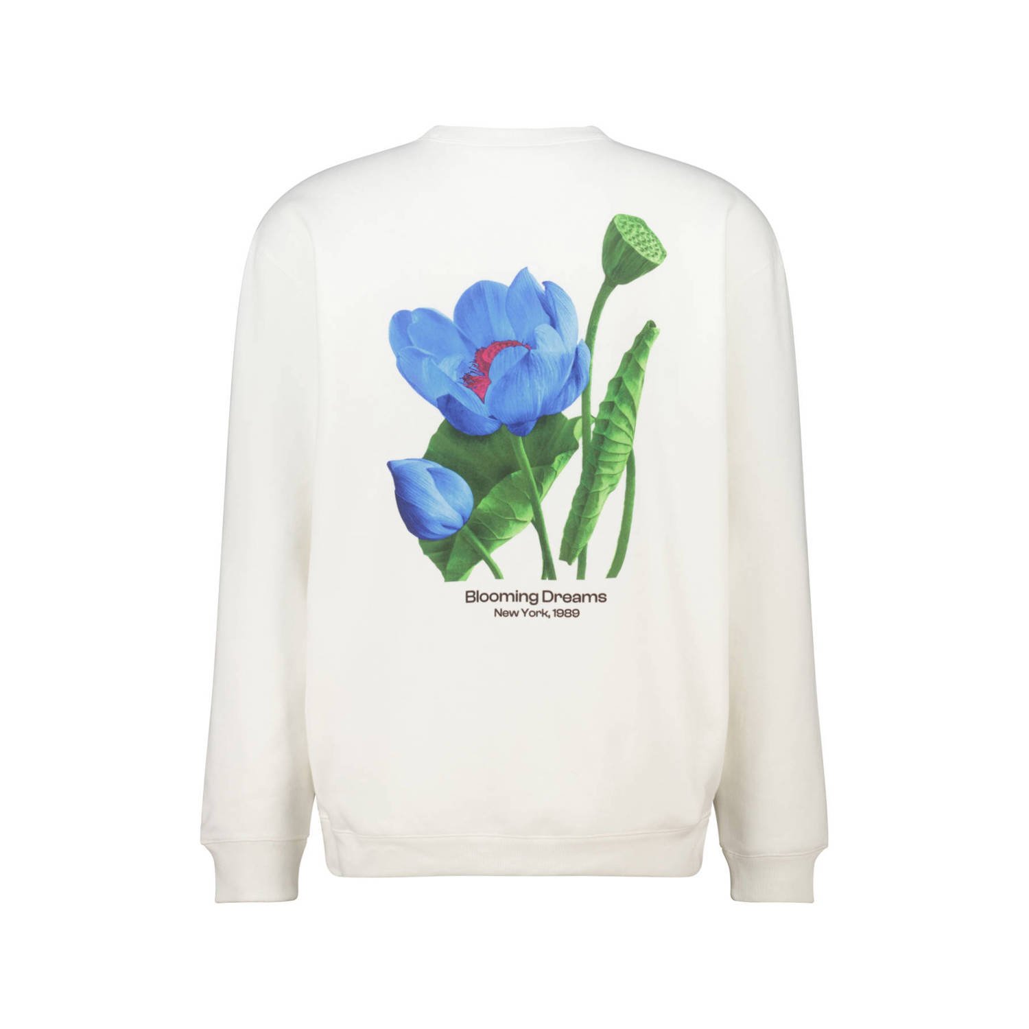 America Today hoodie wit