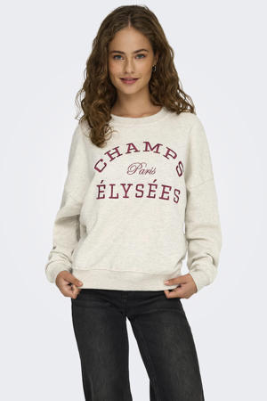 sweater lichtgrijs