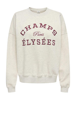 sweater lichtgrijs