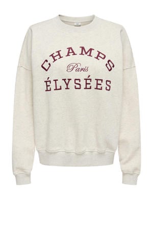 sweater lichtgrijs