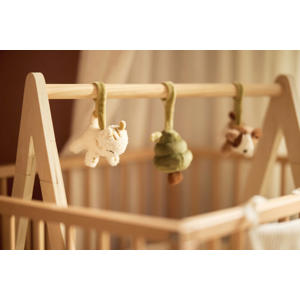 babygym speeltjes Tiny Park beige/bruin/groen