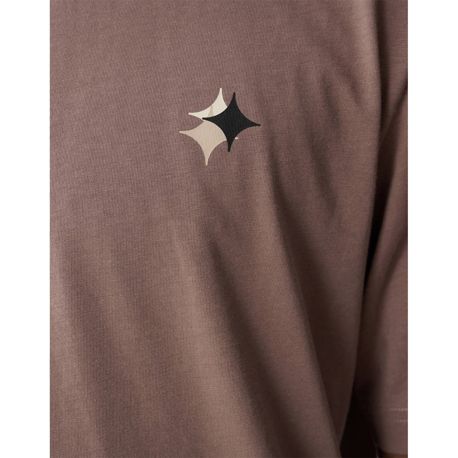 Shoeby regular T-shirt bruin