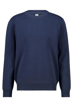 sweater blauw