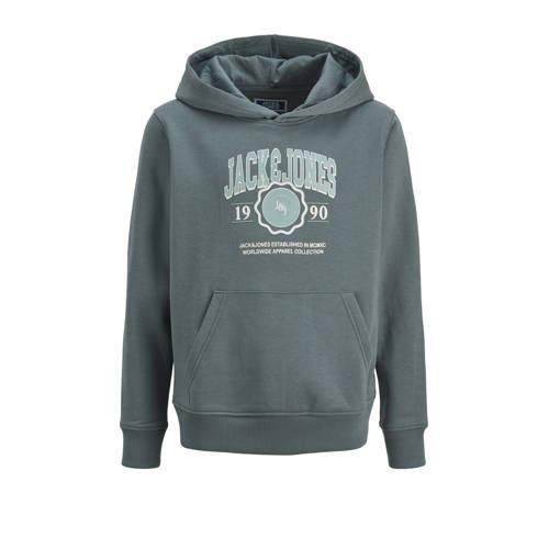 JACK & JONES JUNIOR hoodie grijsblauw afbeelding