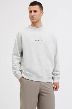 sweater lichtgrijs