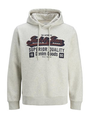 hoodie lichtgrijs