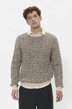 trui met ingebreid patroon beige