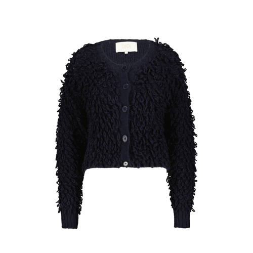 Didi gebreid vest donkerblauw afbeelding