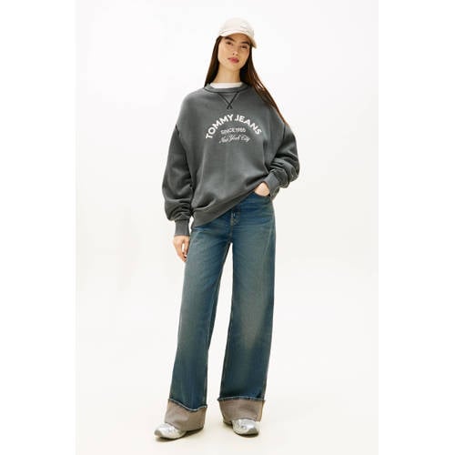 Tommy Jeans Archive '97 chunky sneakers zilver afbeelding