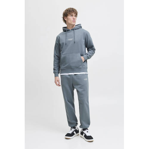 JACK & JONES ESSENTIALS hoodie grijsblauw afbeelding