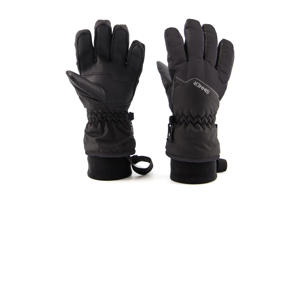 skihandschoenen Phoenix zwart