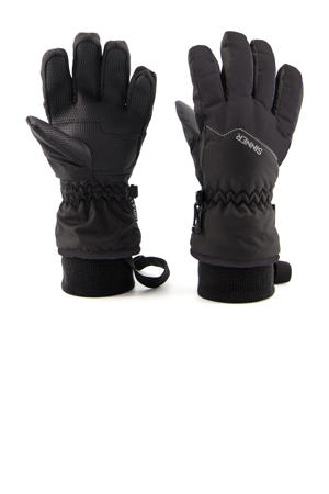skihandschoenen Phoenix zwart
