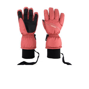 skihandschoenen Phoenix wit