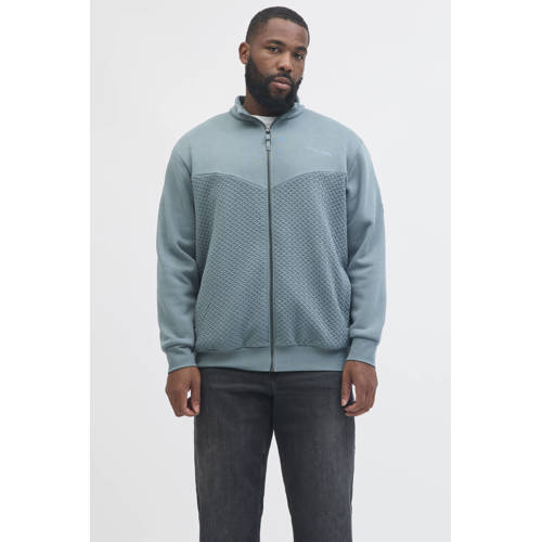 JACK & JONES PLUS SIZE sweatvest met textuur blauw afbeelding