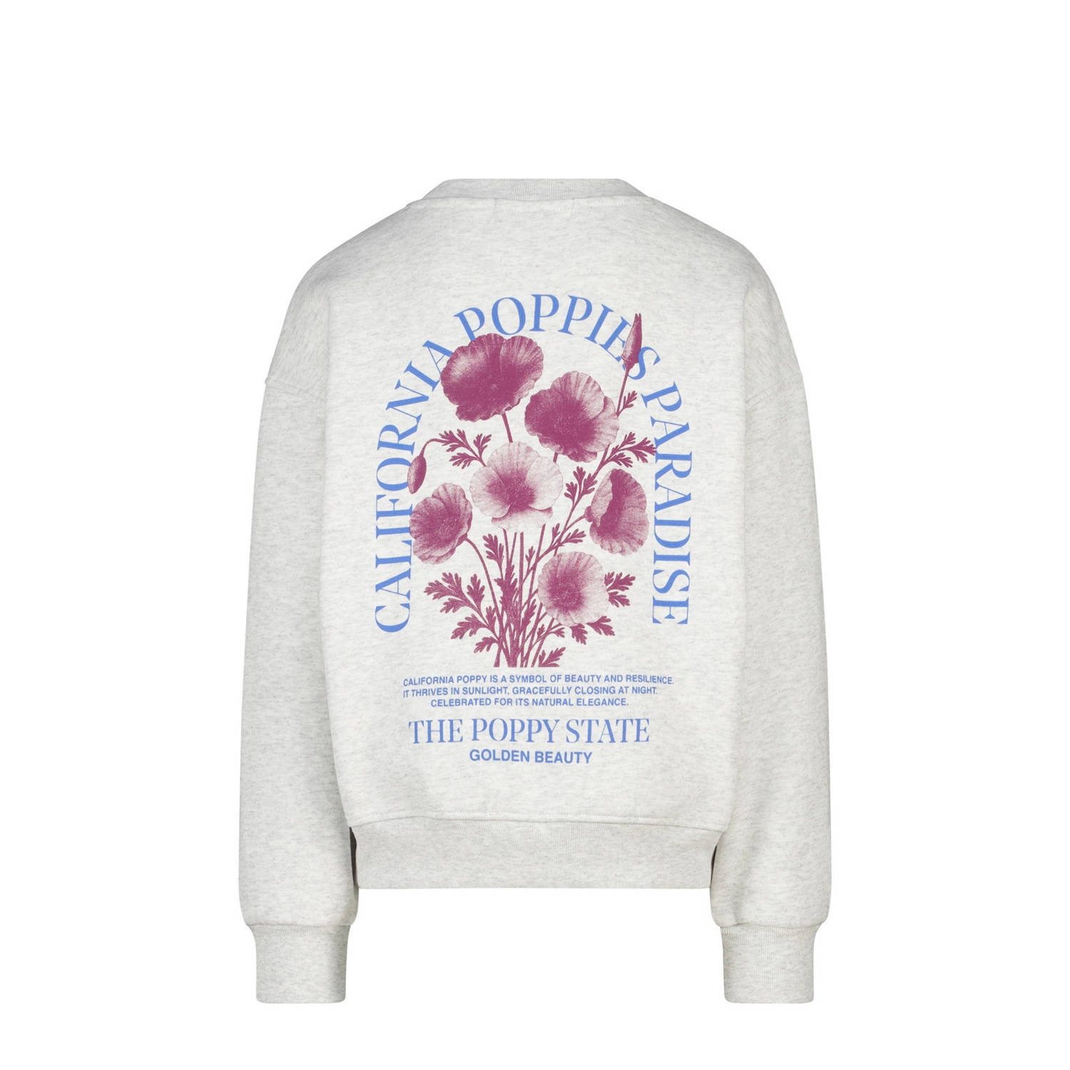 America Today sweater grijs