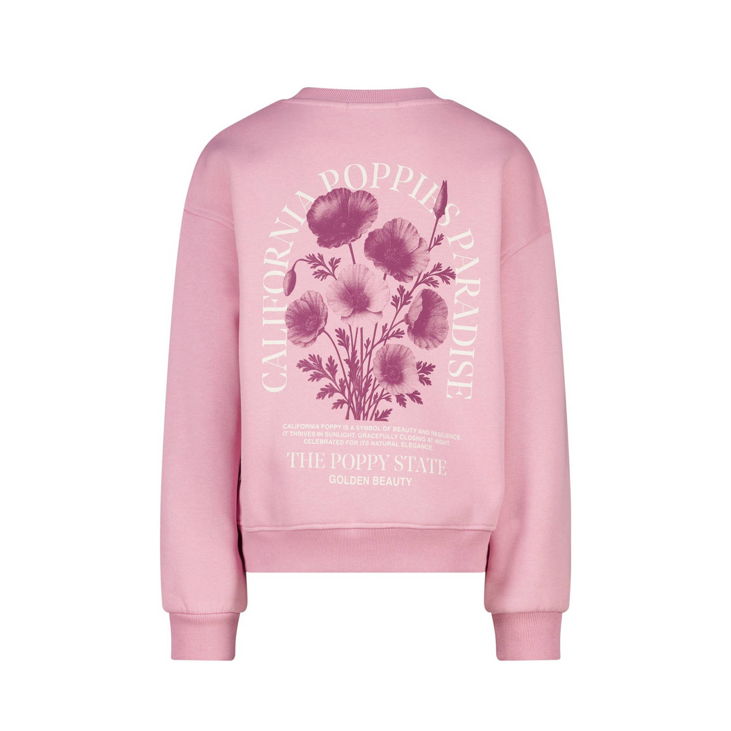 America Today sweater roze