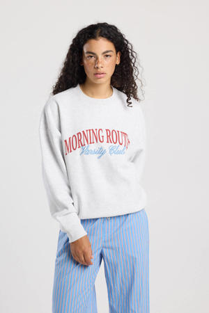 sweater grijs