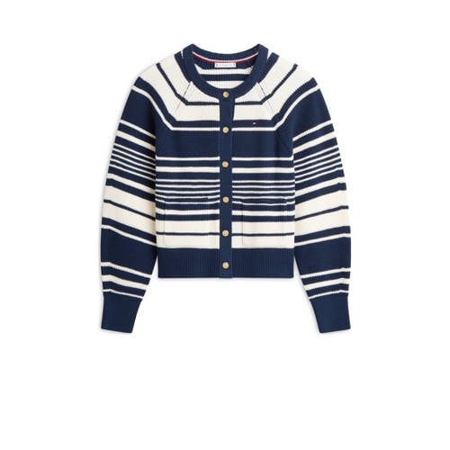 Tommy Hilfiger gestreepte gebreid vest marineblauw afbeelding