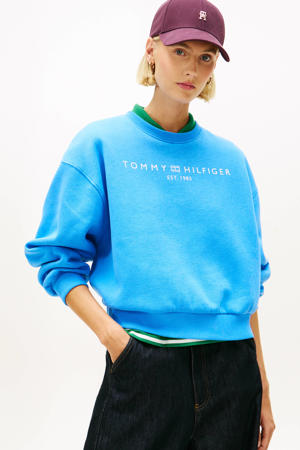 sweater blauw