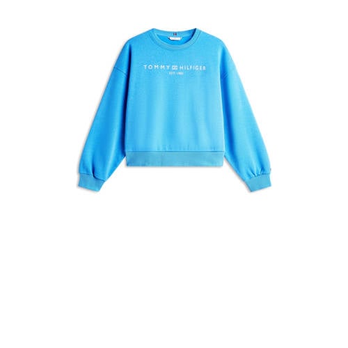 Tommy Hilfiger sweater blauw afbeelding