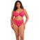 Elomi brazilian Darcie fuchsia