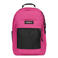 Eastpak rugzak Study Buddy pink escape