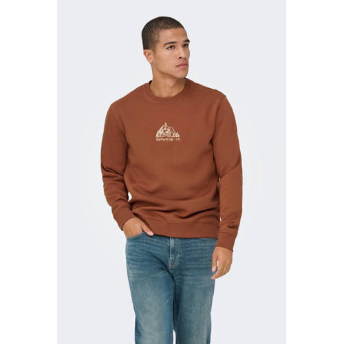 ONLY & SONS sweater terra afbeelding