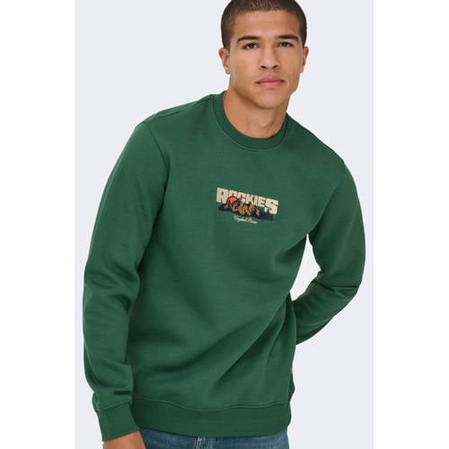 ONLY & SONS sweater groen afbeelding