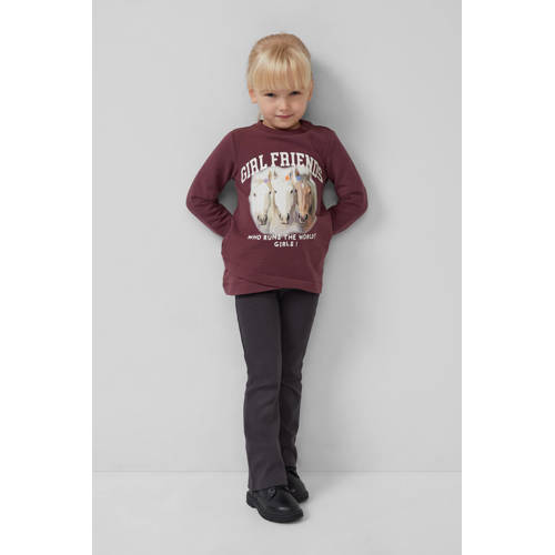 s.Oliver longsleeve donkerpaars afbeelding