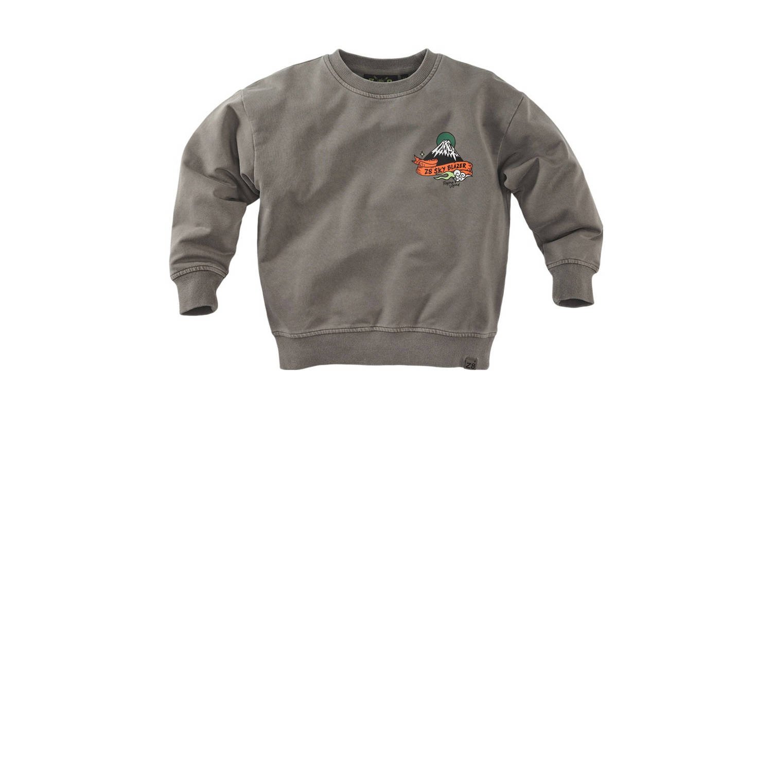 Z8 kids sweater Jett met backprint grijs