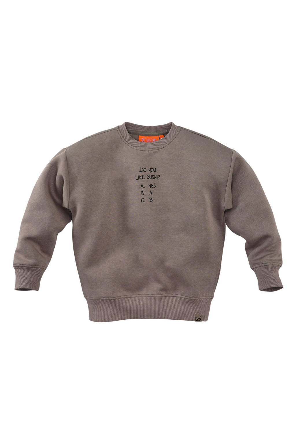 Taupe jongens Z8 kids sweater Misja van polyester-katoen met backprint, lange mouwen en ronde hals