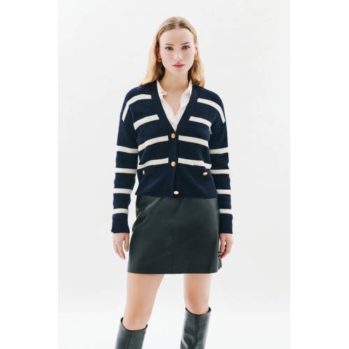 Caroll gestreepte gebreid vest met wol donkerblauw afbeelding