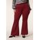 Miss Etam Plus flared high waist flared broek donkerrood
