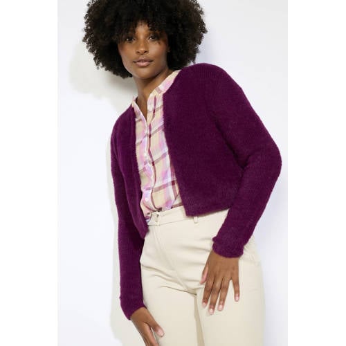 LOLALIZA vest aubergine afbeelding