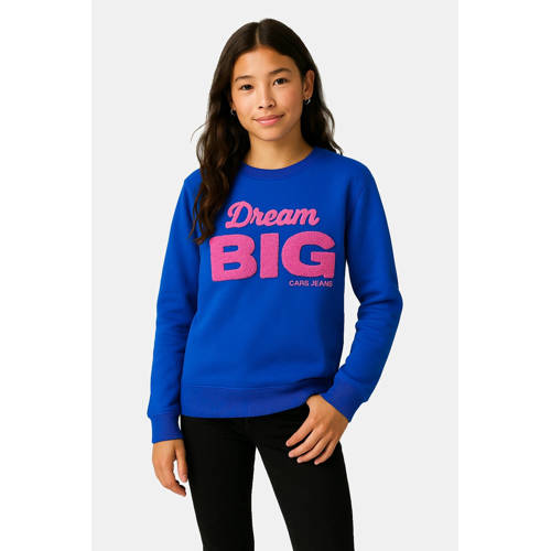 Cars sweater kobaltblauw afbeelding