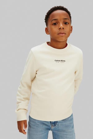 sweater grijs