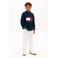Tommy Hilfiger trui donkerblauw gebreid