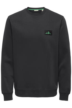 sweater zwart
