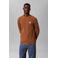 CALVIN KLEIN JEANS longsleeve met ingebreid patroon bruin