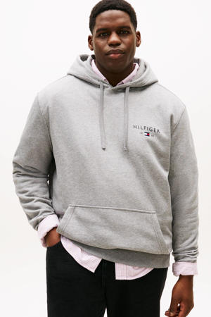 hoodie Plus Size grijs
