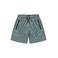 Cars zwemshort Tayel grijsgroen