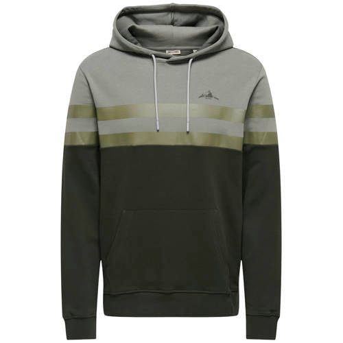 ONLY & SONS hoodie grijsgroen afbeelding