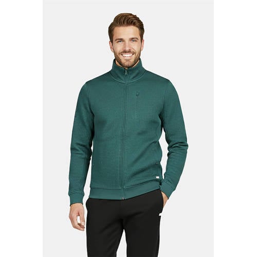 Cars sweatvest met textuur groen afbeelding